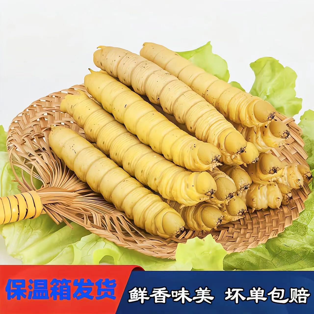 顺丰美味豆虫冷冻新鲜烧烤鲜活速冻制作食用昆虫豆丹美味油炸包邮
