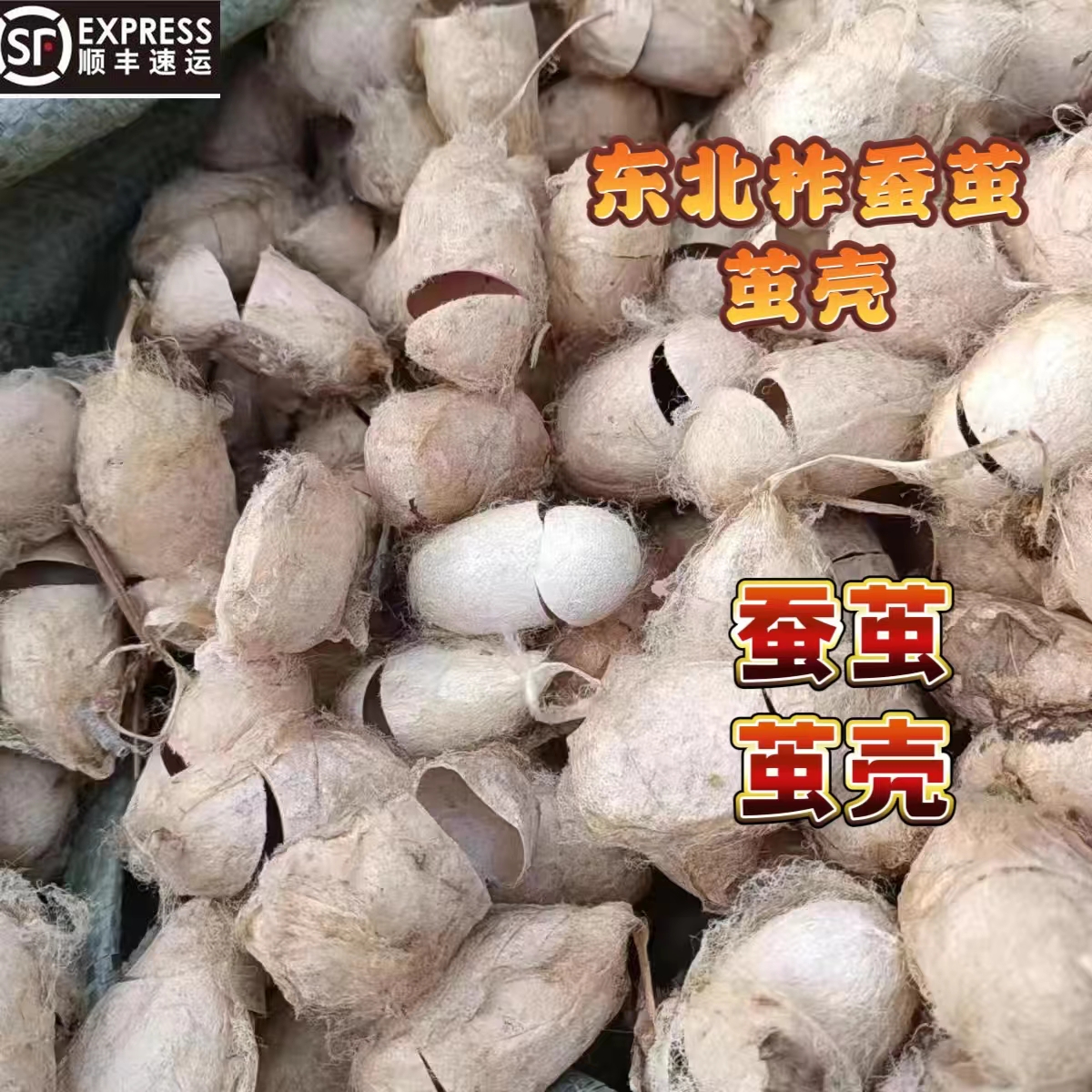 东北蚕茧大茧茧壳蚕蛹茧壳