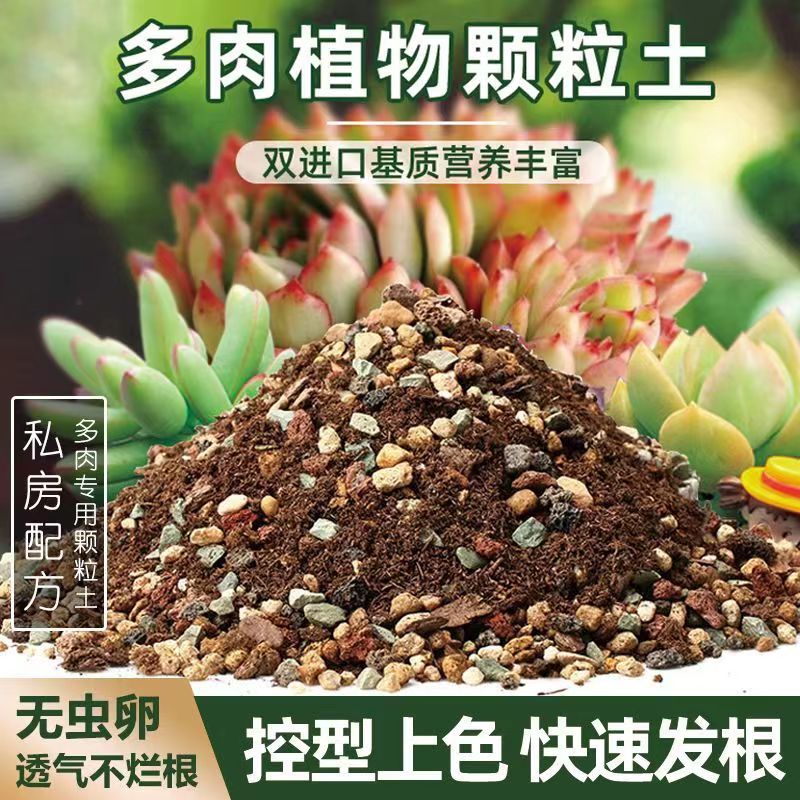 颗粒土  控型控色、发根快养肉必备