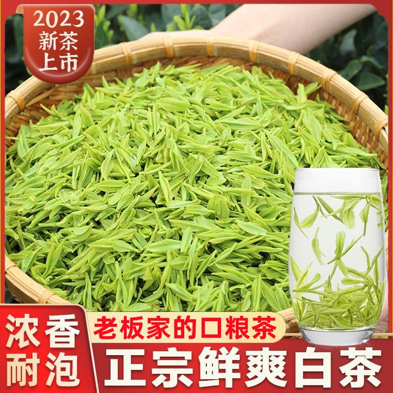 白茶  春季明前特级口粮茶高山珍惜绿茶500克简易包装