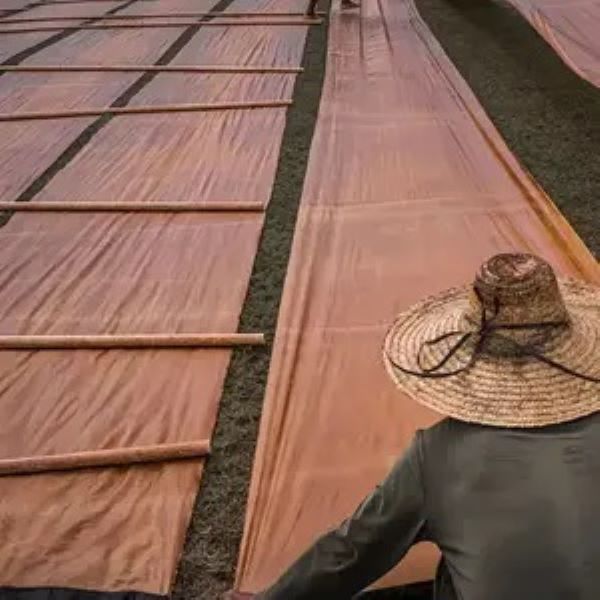 5号 墨池桑蚕丝手绘香云纱红云纱古法老料面料直播专用下单链接