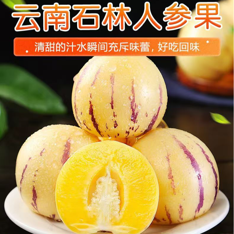 云南当季石林人参果 现摘现发 树上自然熟
