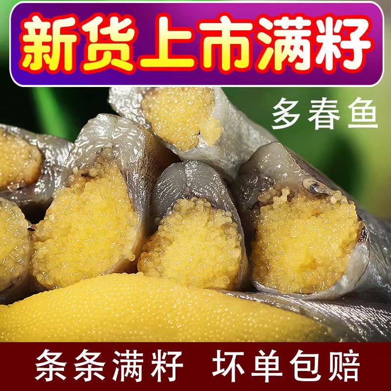 多春鱼3斤新鲜现货广东