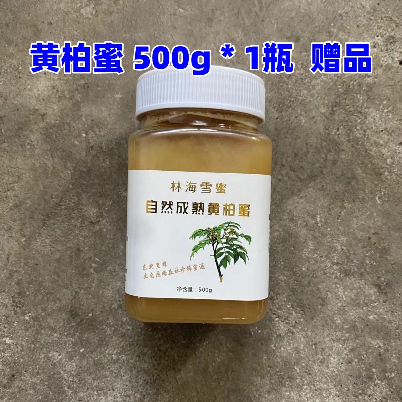 黄柏蜜 500g * 1 瓶