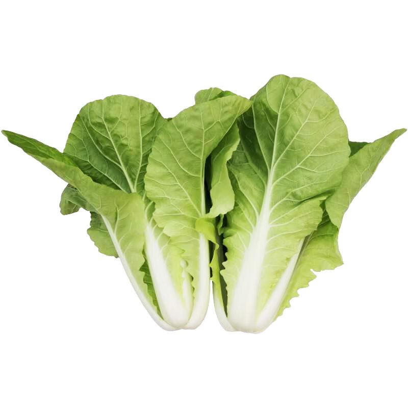 云南五号白菜 约500g