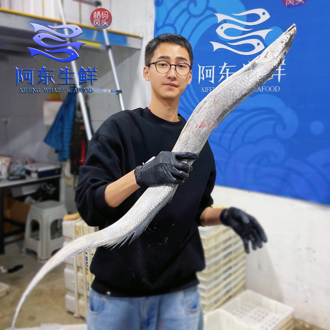 东海野生带鱼舟山小眼睛带鱼海捕新鲜油带鱼