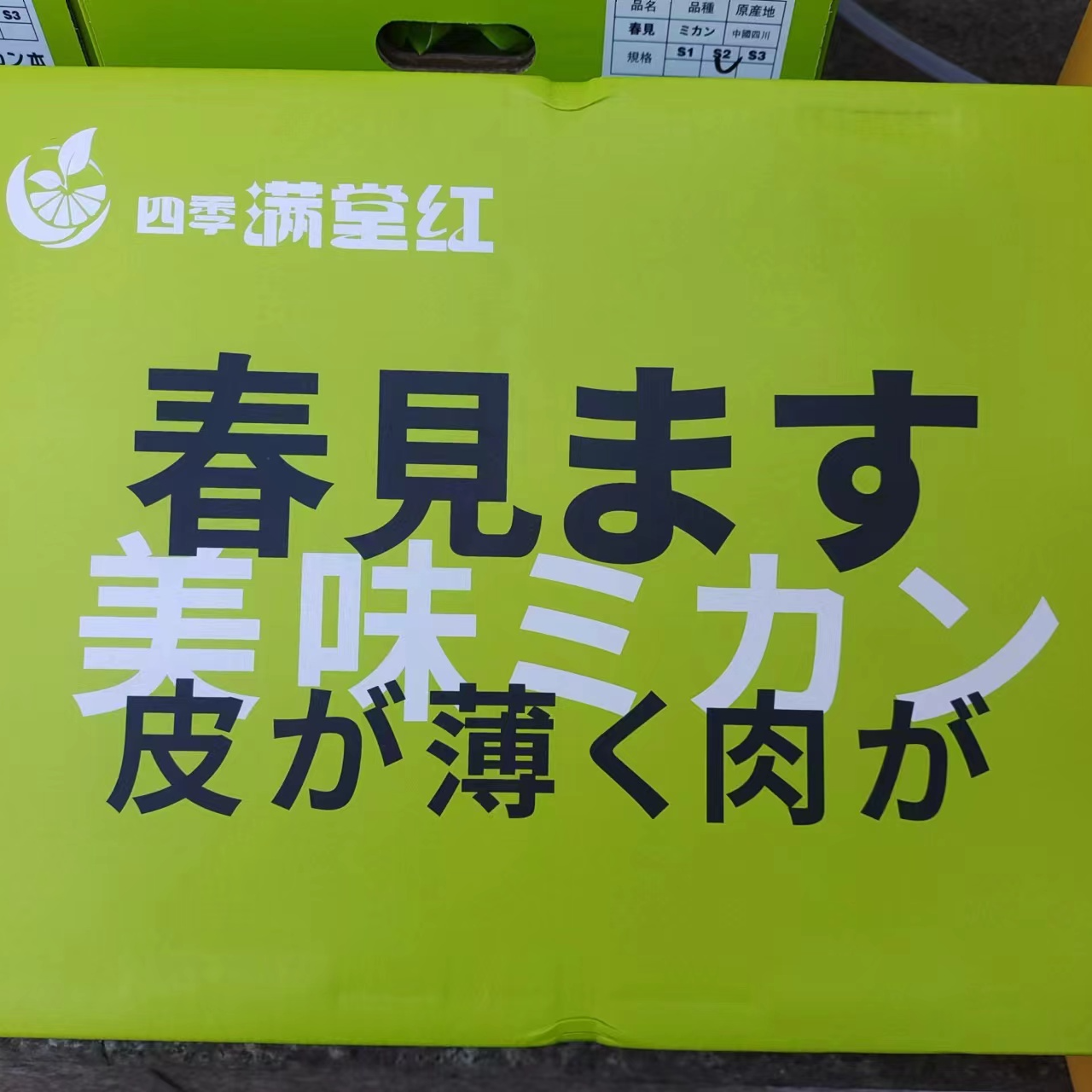 粑粑柑一盒