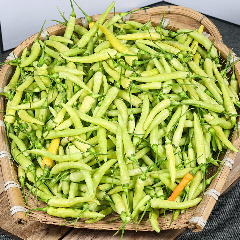  特辣包邮云南正宗皱皮野山椒新鲜白米辣小米辣泡椒野山椒250g