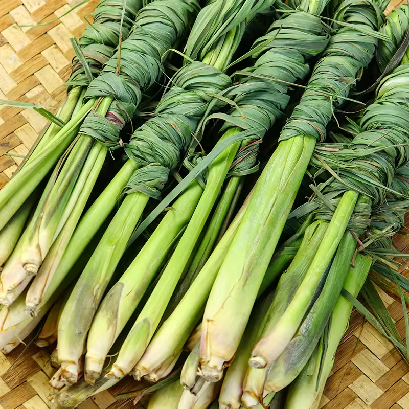 新鲜香茅草柠檬香可火锅凉拌烧烤烹饪配料食材连叶子广西云南香茅