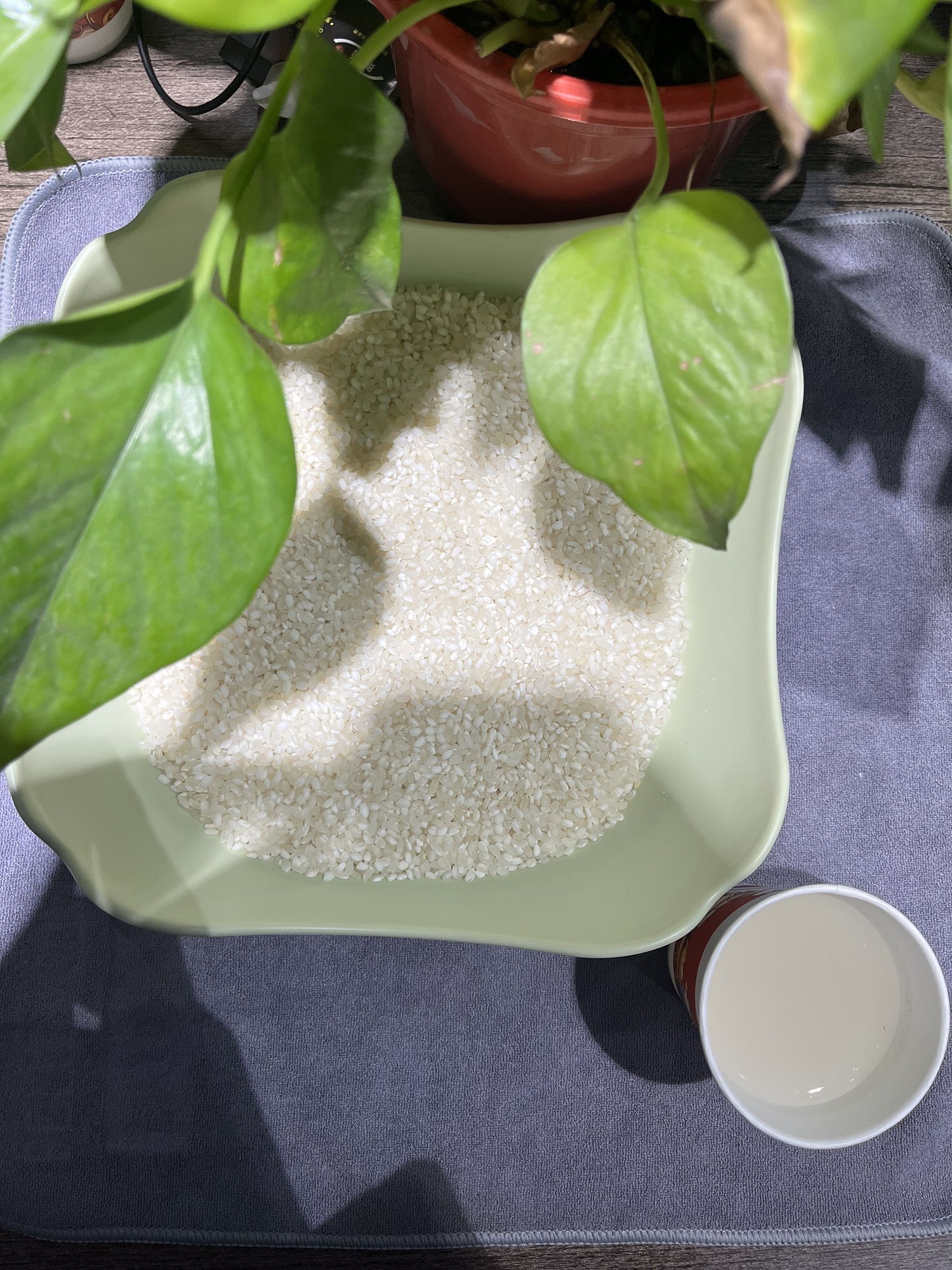 到手一包700g【笔袋厂家推荐】