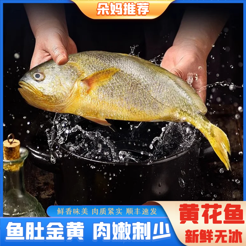 【朵妈海鲜】大黄花鱼海鲜水产大黄鱼新鲜批发整箱4条约1斤/条