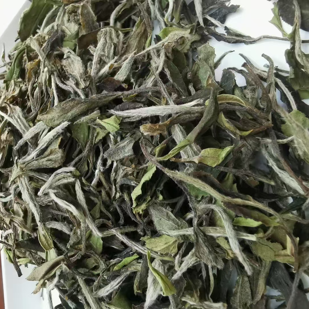 福鼎白茶针茗星2022年磻溪大洋山  三级白牡丹一盒