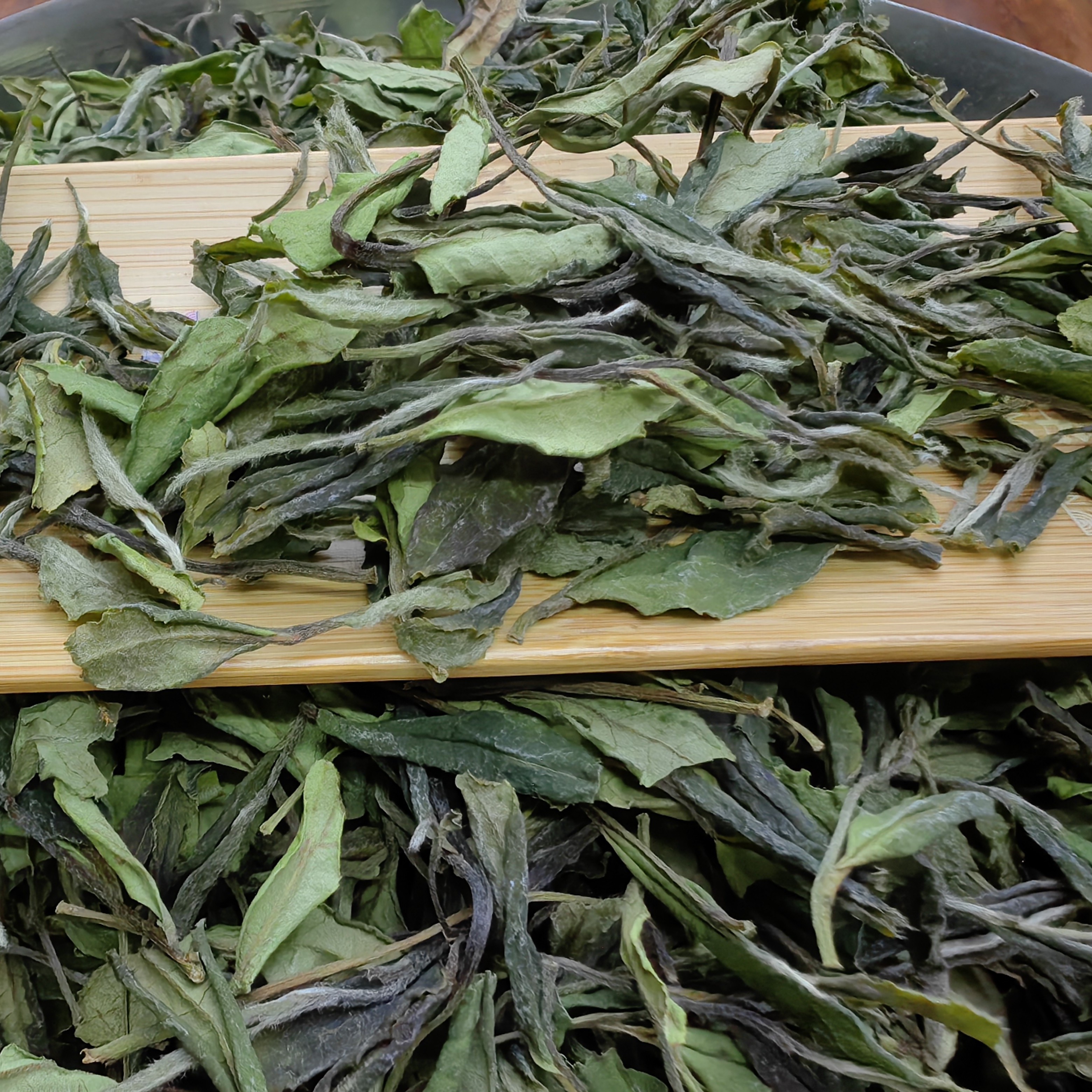 福鼎白茶针茗星2024年群体种贡眉磻溪260克520克