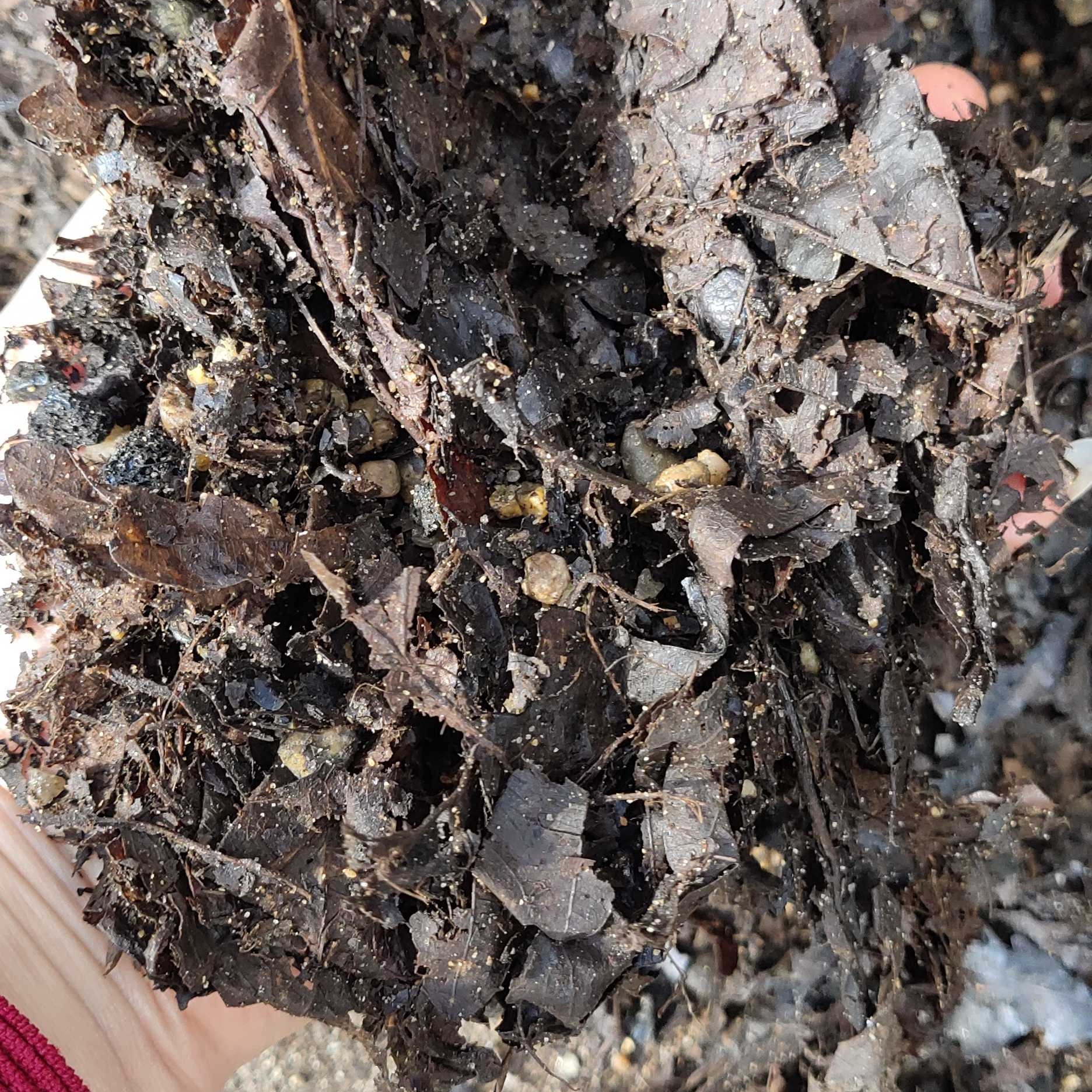 肥土~9斤半 成品（沙粒，火山岩.松枝）