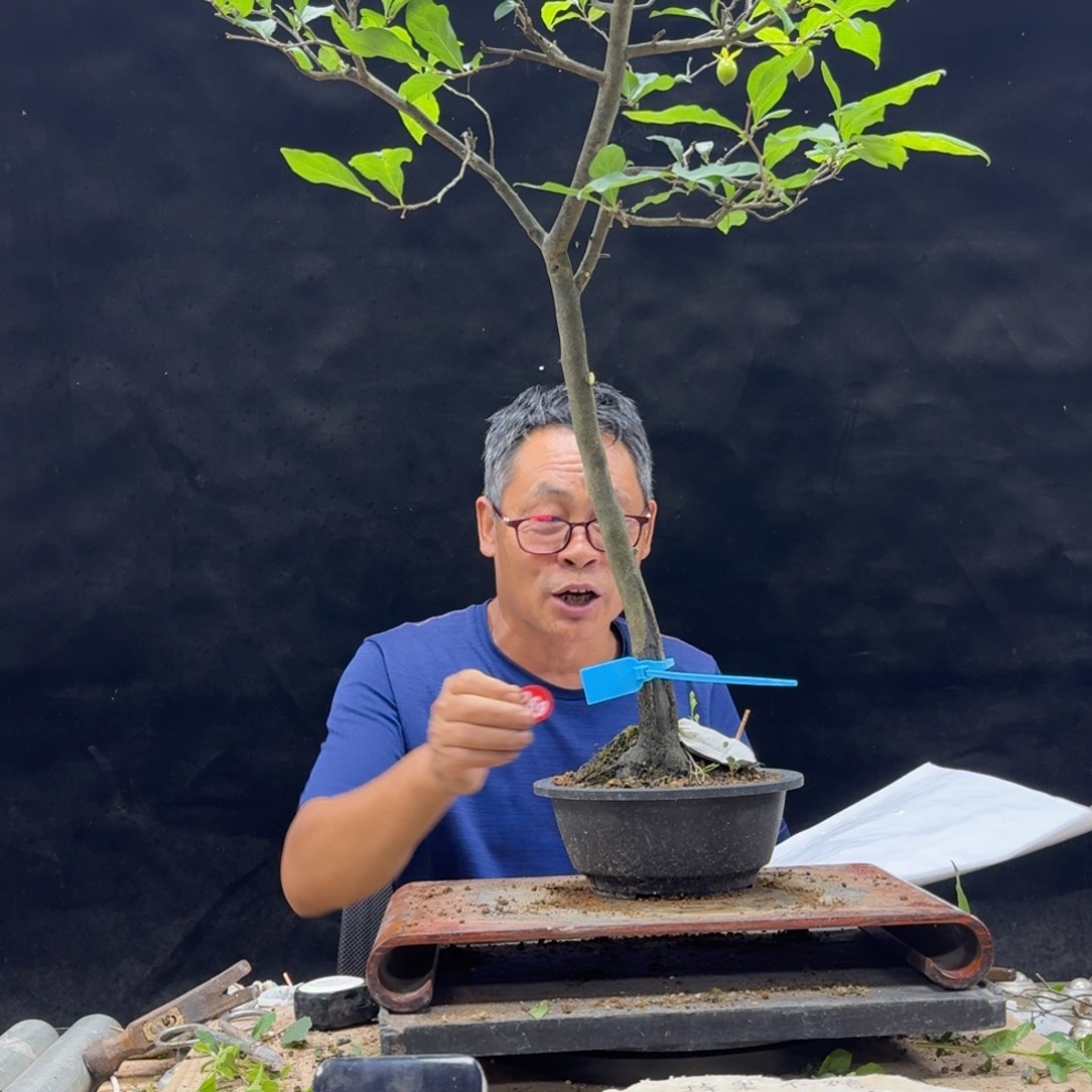 盆景不包邮用****6269