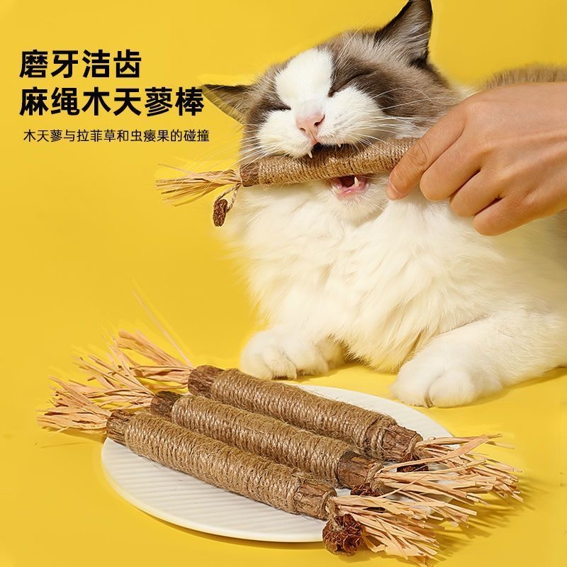 呵护星球虫瘿果杆加木天蓼棒新款猫咪磨牙棒咬组合拉菲草养宠装备