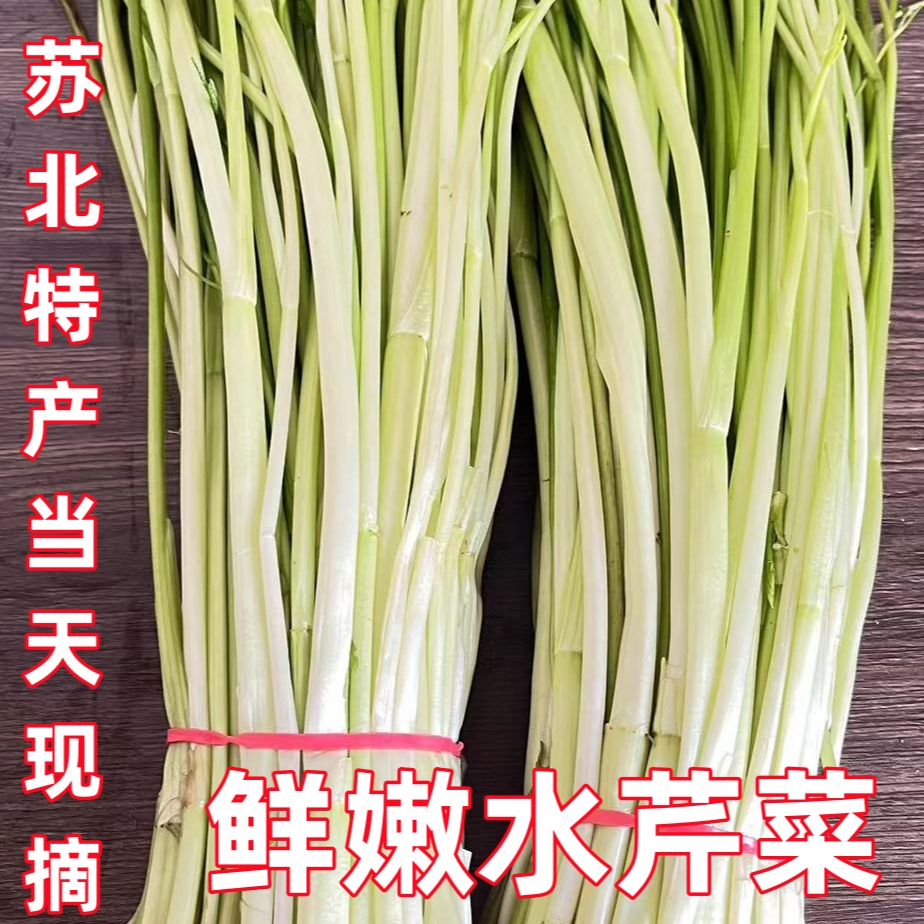  新鲜蔬菜生态野水芹菜去叶净菜小叶水芹菜无节水芹农家自种