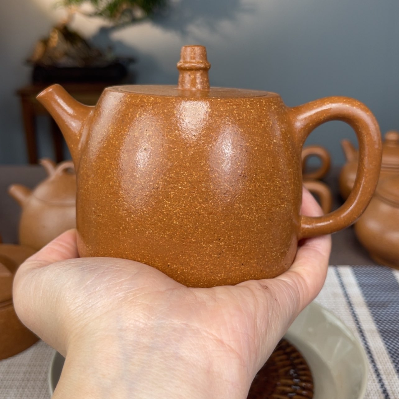 【闪购商品】段泥茶壶