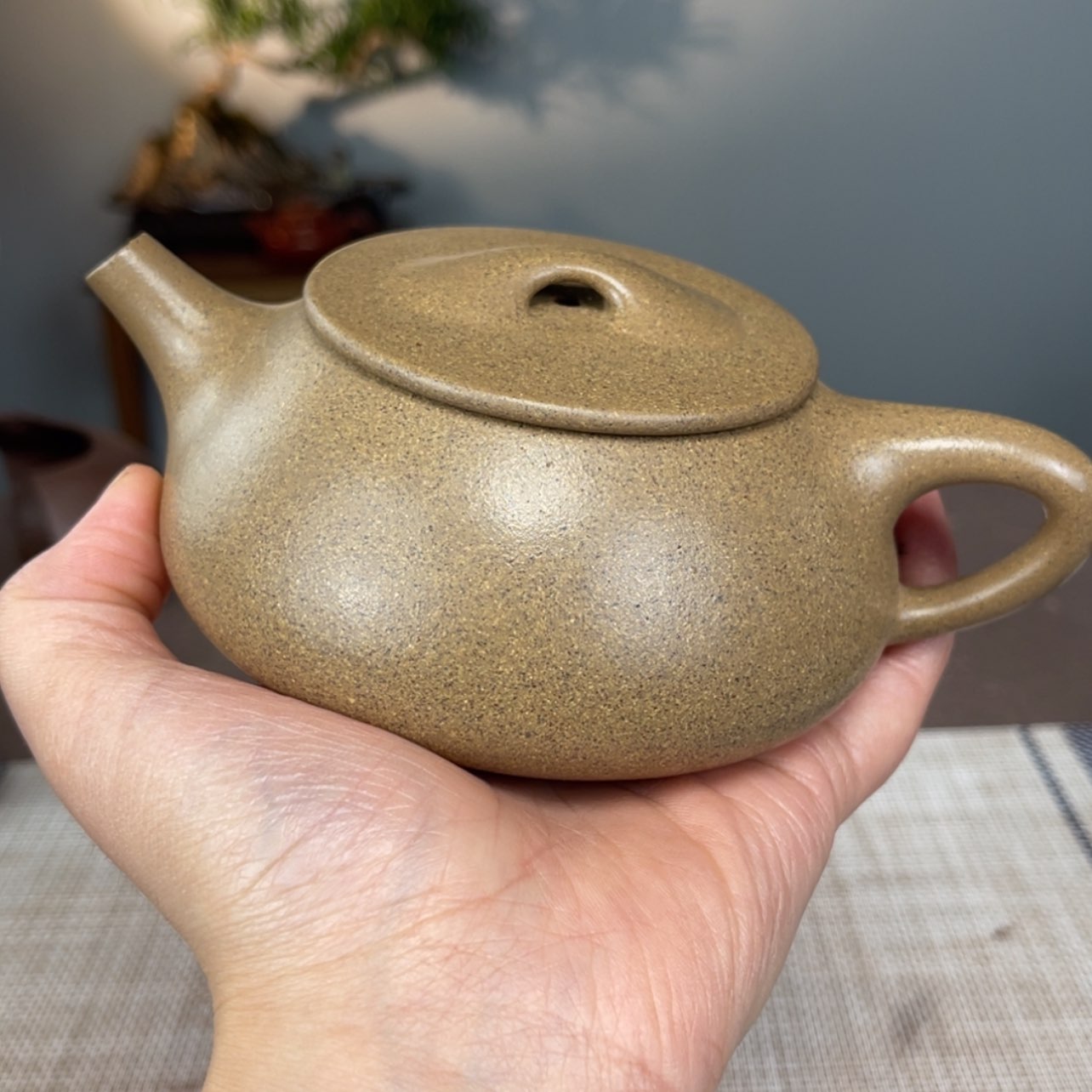 【闪购商品】段泥茶壶