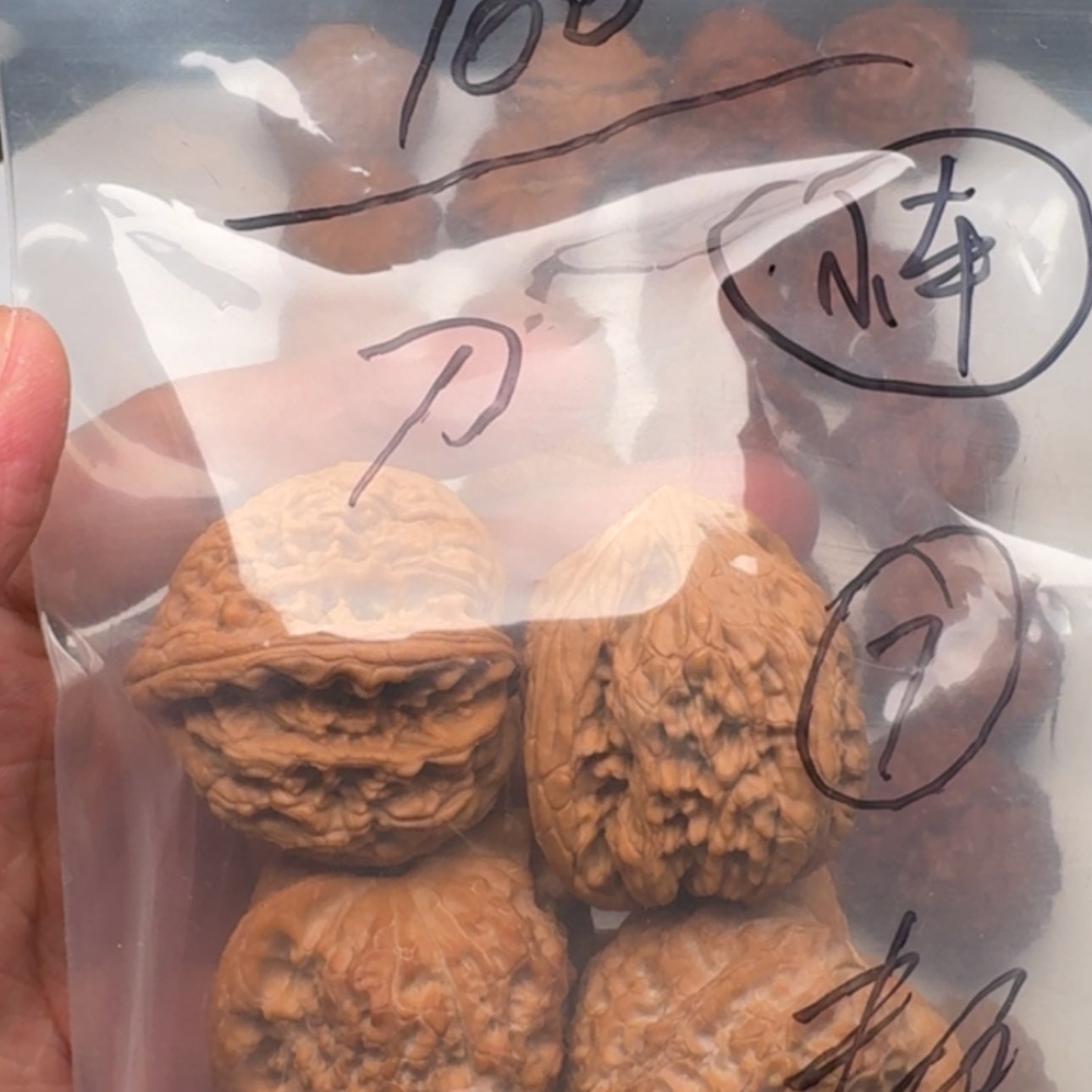 【闪购商品】桃核吊坠刀*郎