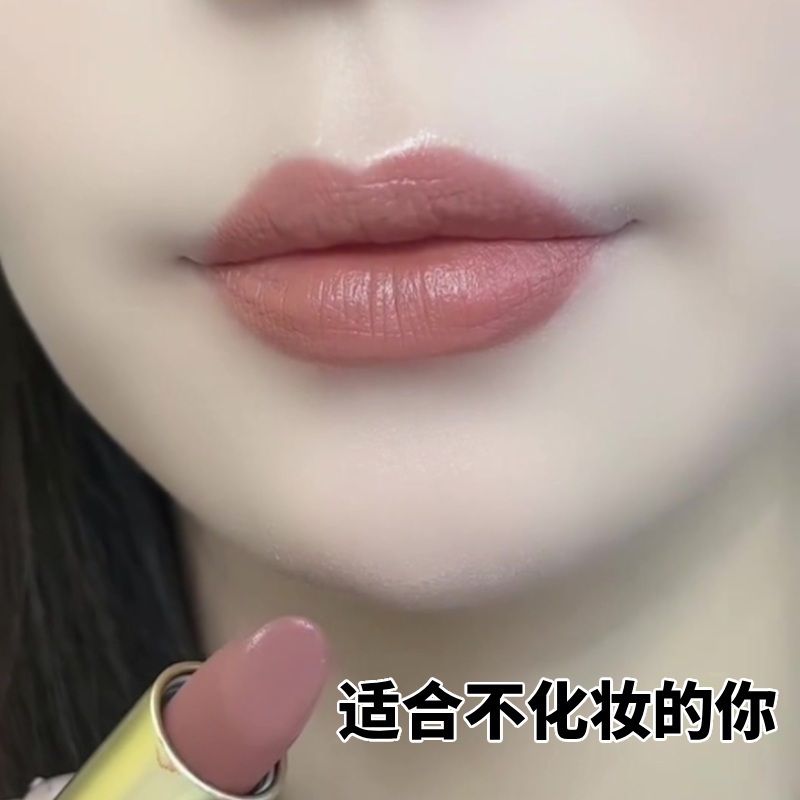 新款不掉色防水口红素颜百搭显白滋润显色不沾杯持久不脱妆2024女