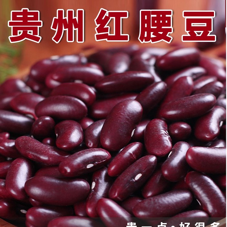 红腰豆正宗农家芸豆大红豆贵州红芸豆大芸豆大颗豆子五谷杂粮500g
