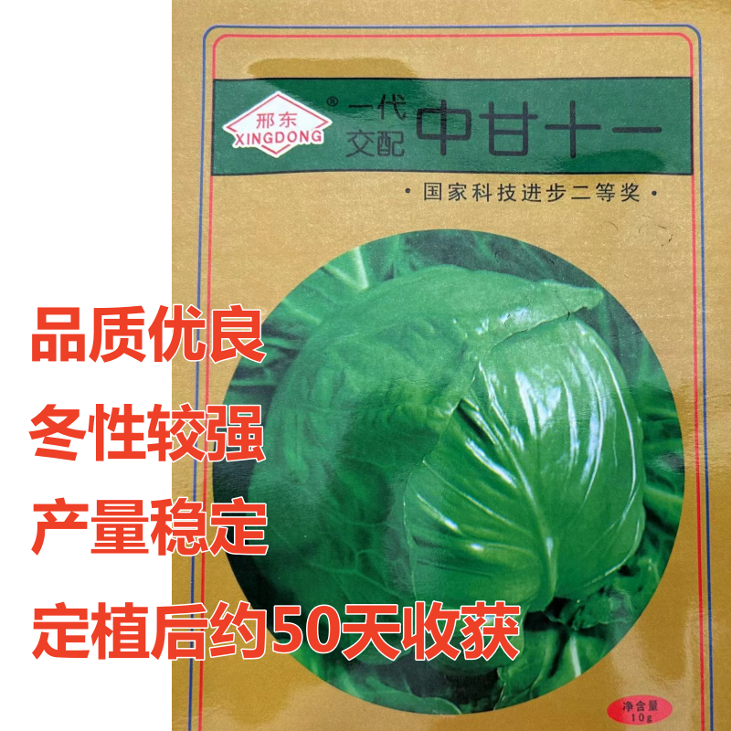 中甘十一甘蓝种子杂交阳台蔬菜种子四季包菜种子品质优良冬性较强