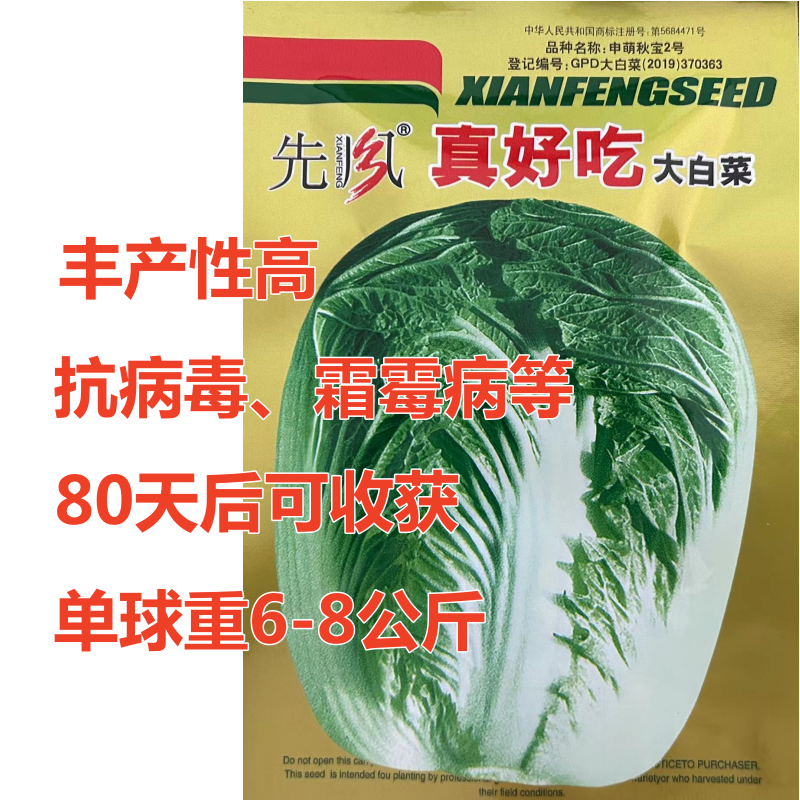 先风真好吃白菜种子黄芯秋播大白菜种籽冬储白菜耐寒秋冬季蔬菜种