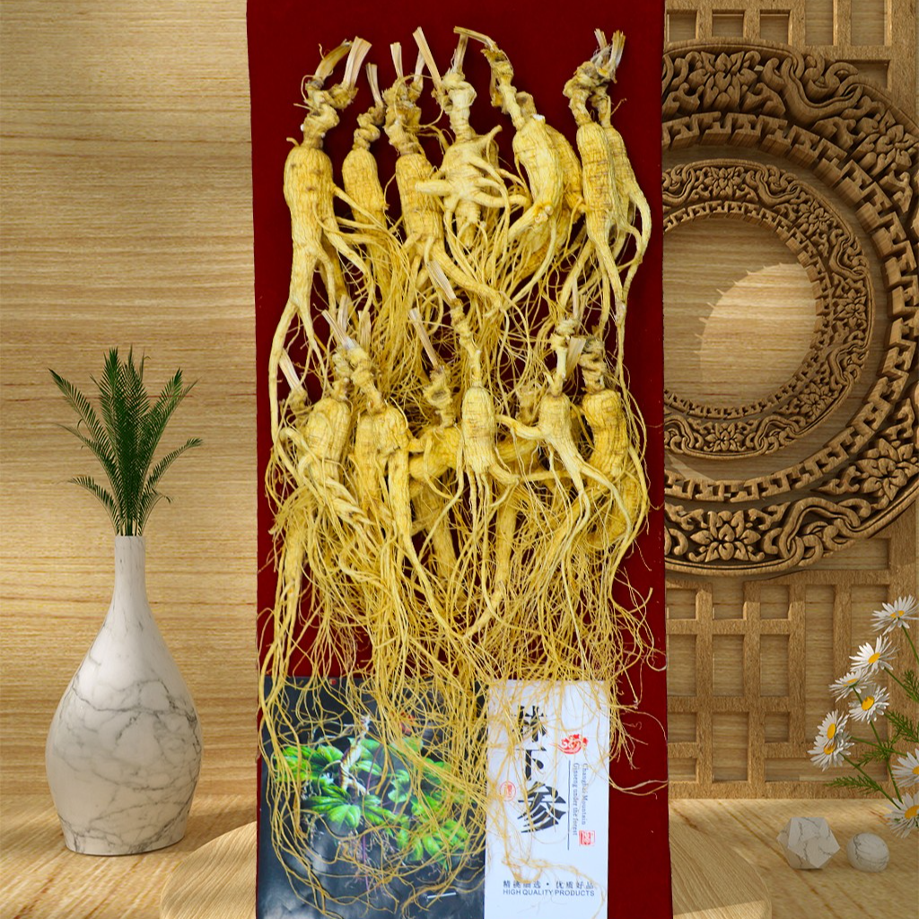 林下参高龄实惠经济装