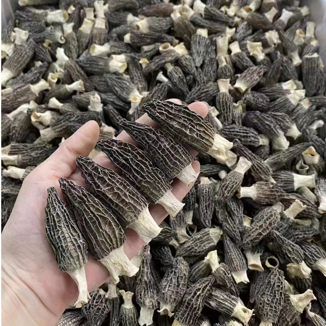 云南羊肚菌干货精选肉质厚煲汤食材天然菌菇无硫新货