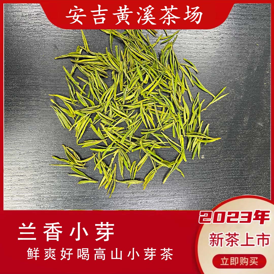 2023 小芽白茶 b500 安吉罐装发货