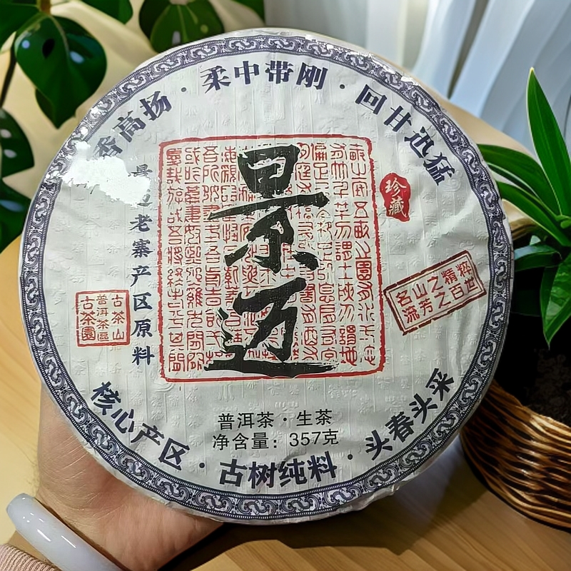 2023年 景迈 云南大叶种普洱生茶