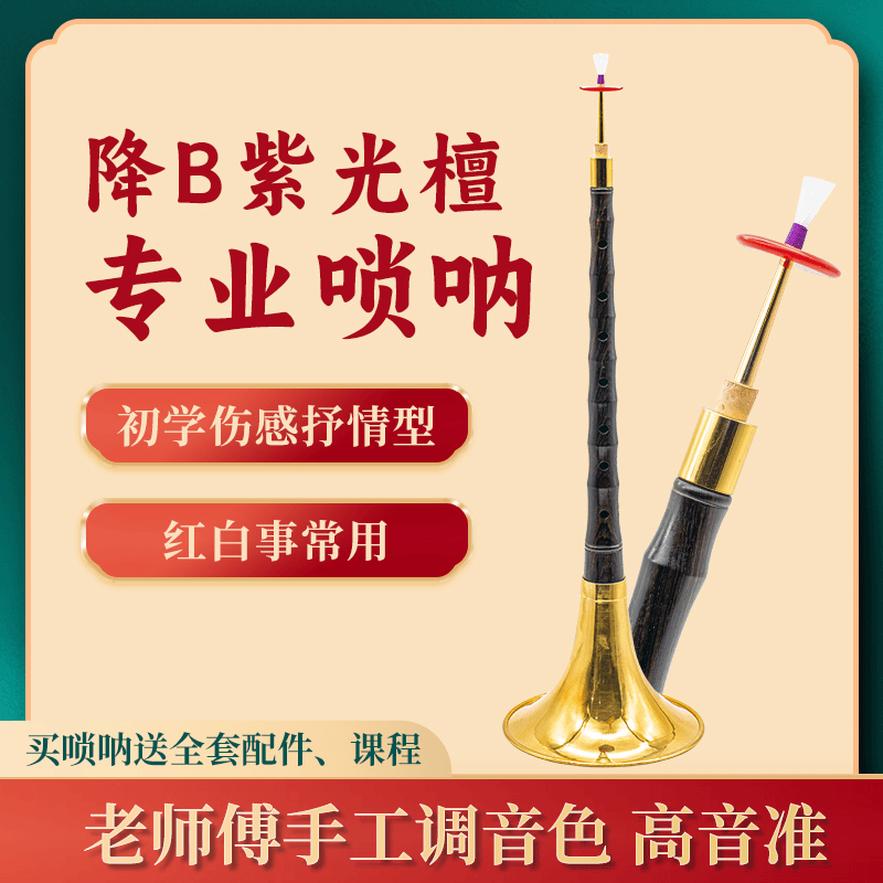 赵奔专业级紫光檀降B唢呐练手品牌定调民间无忧演奏乐器正宗工艺