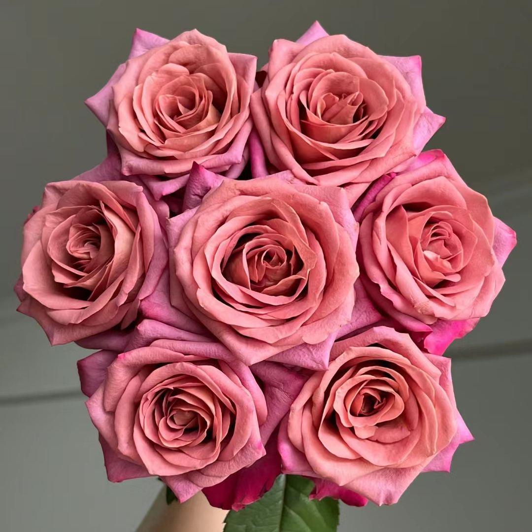 【调香师 】任意两单顺丰冷链或京东冷链包邮 鲜花直播云南基地直发