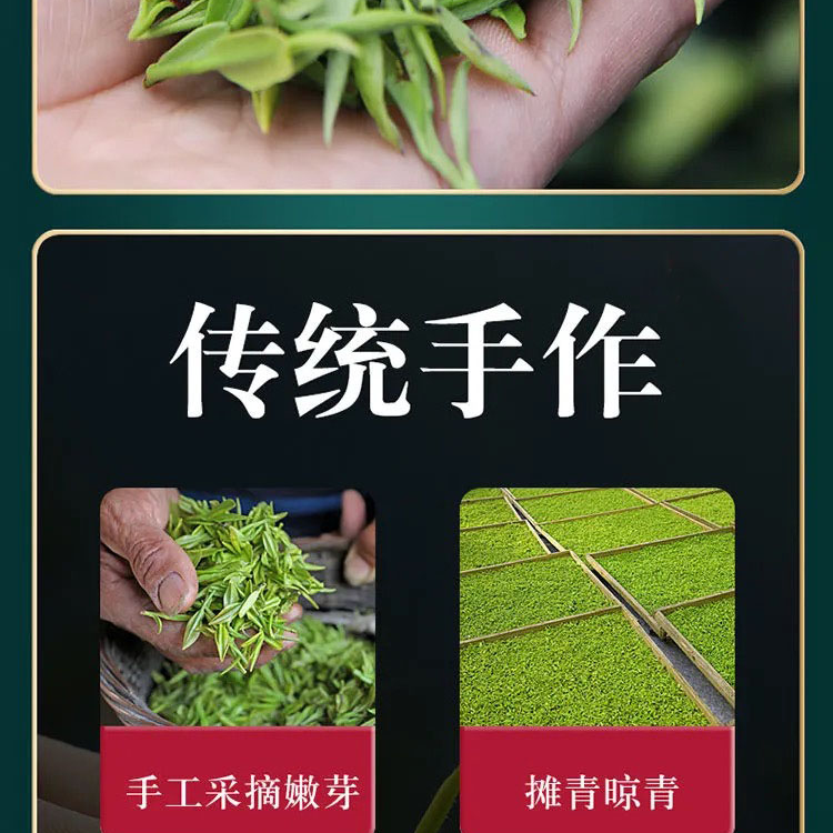 茶农直销信阳毛尖