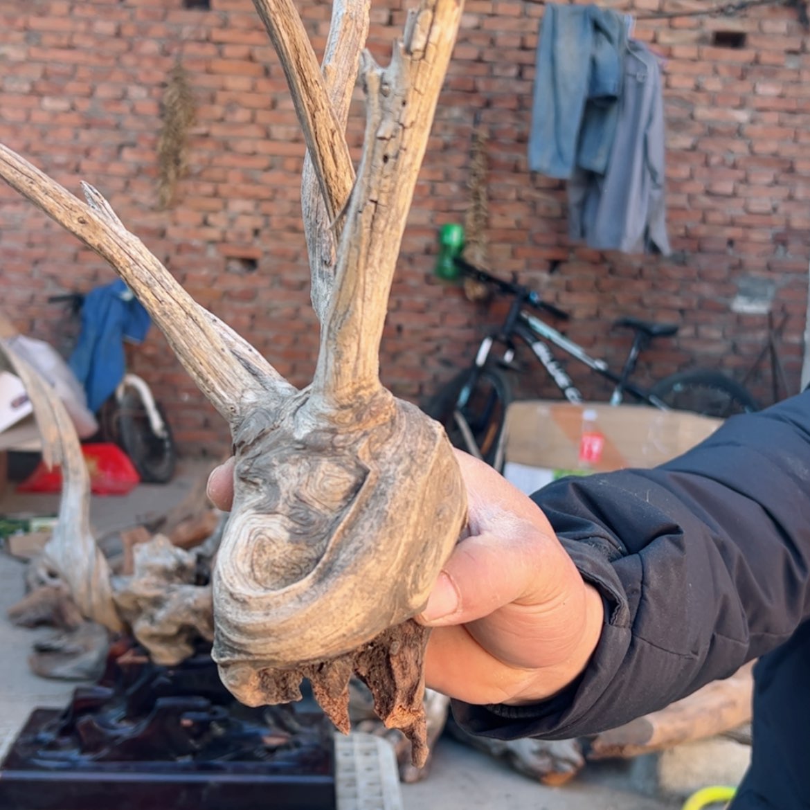 【闪购商品】崖柏根雕用****6