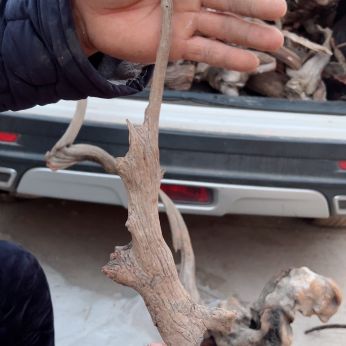 【闪购商品】崖柏根雕1****1