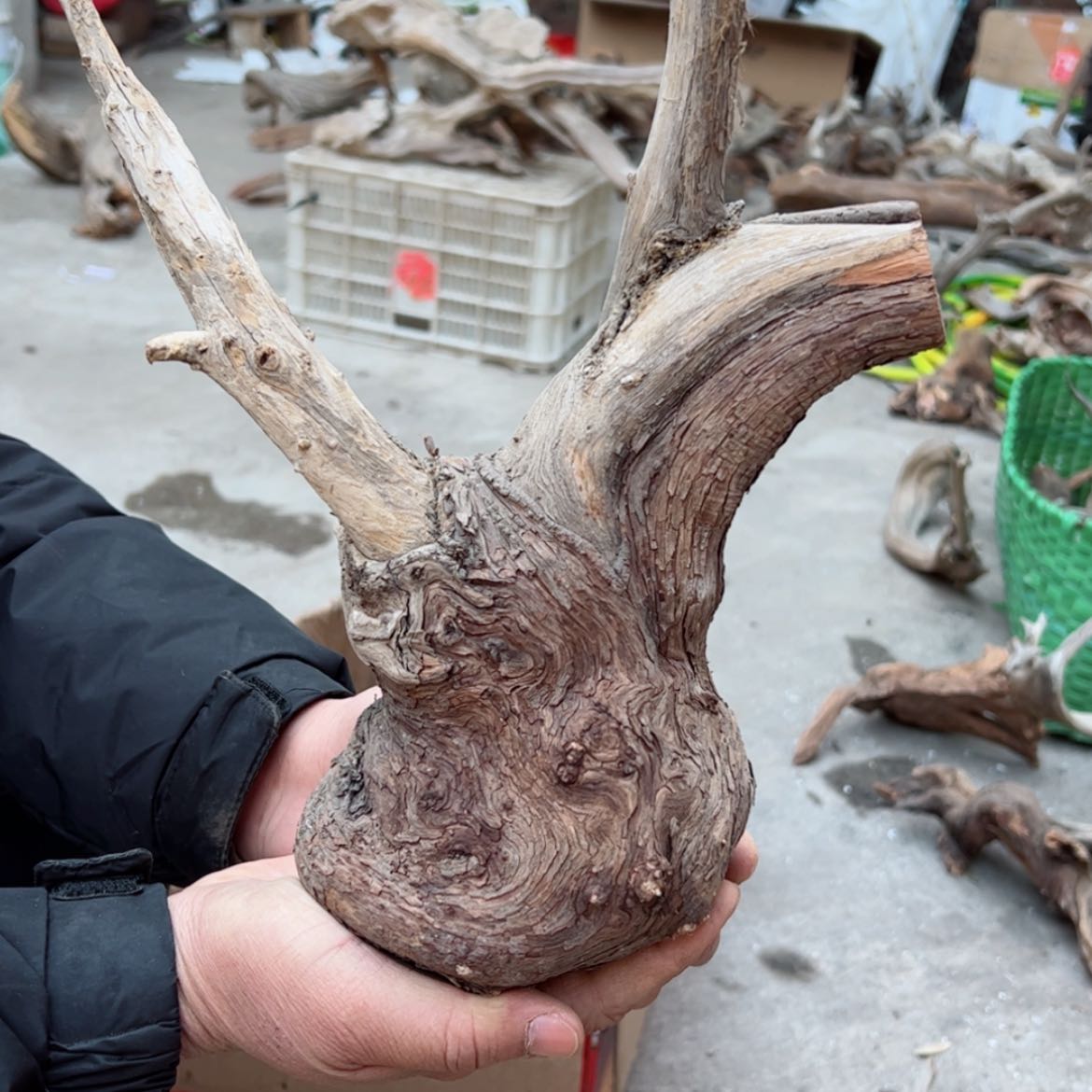 【闪购商品】崖柏根雕风**势