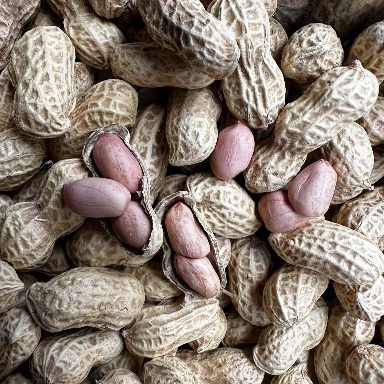 （小）广西灵川县山姐  本地带壳小花生 散装农产品  