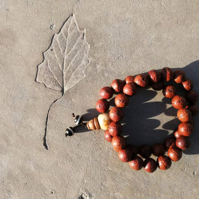 新疆哈密戈壁奇石