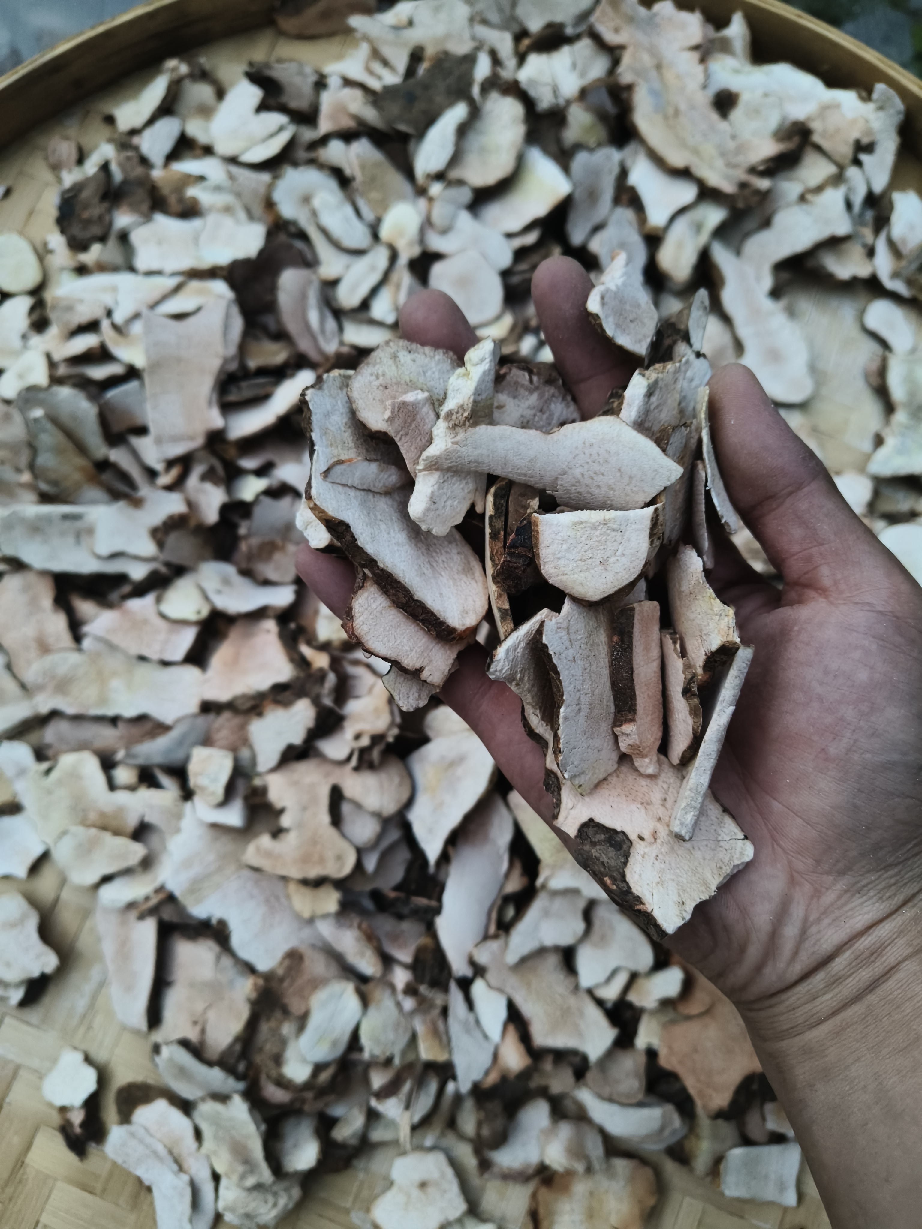 山货特产  土茯苓干货  煲汤 煮水  