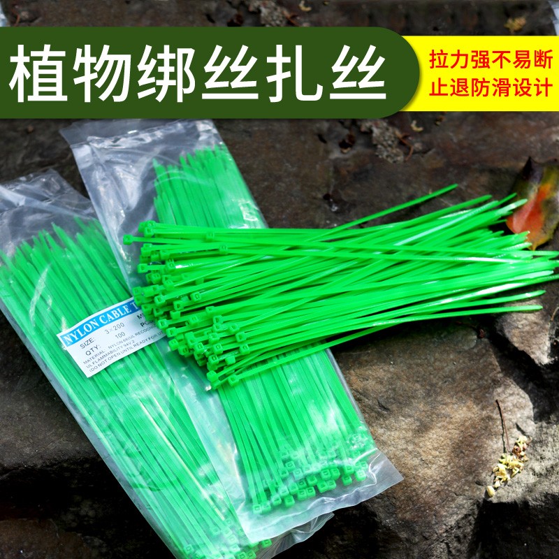 绑扎丝尼龙简单自锁式束线带塑料捆绑带固定扎绳拉紧器扎丝耐低温