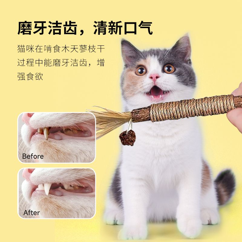 清新猫薄荷球逗猫猫抓板猫咪磨牙猫玩具自嗨解闷耐咬洁牙猫咪用品