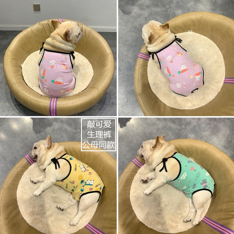 狗狗中小型犬法斗巴哥斗牛犬泰迪比熊博美生理公狗母狗例假安全裤