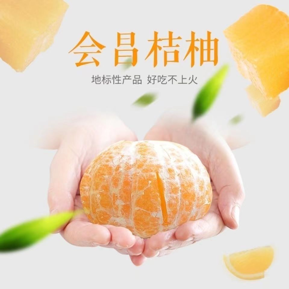 【桔柚中果20斤】赣南桔柚现摘现发20斤装纯甜无核无籽孕妇水果