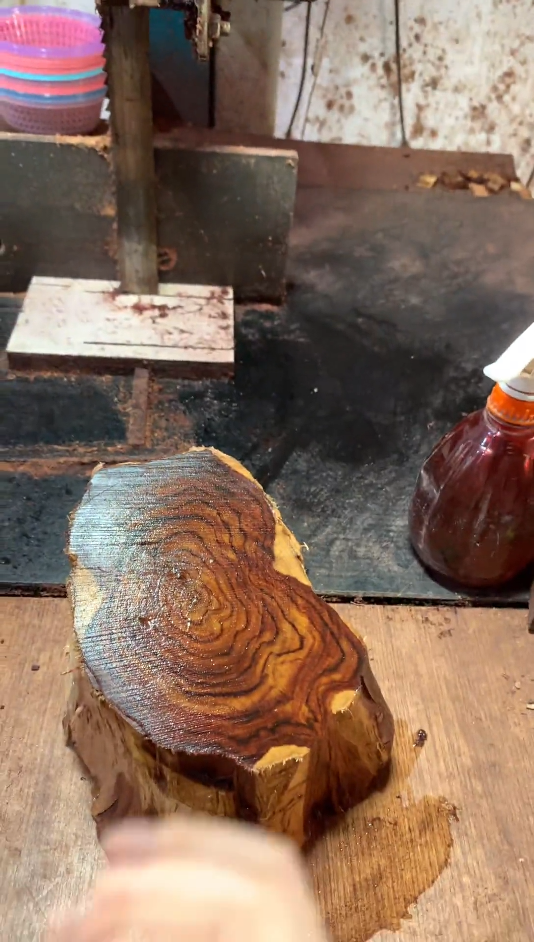 【闪购商品】檀木木雕海黄1.8