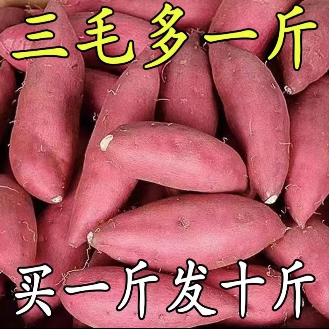 【抢购中】超甜沙地红薯1/5/9斤新鲜蜜薯板栗薯地瓜番薯软糯香甜