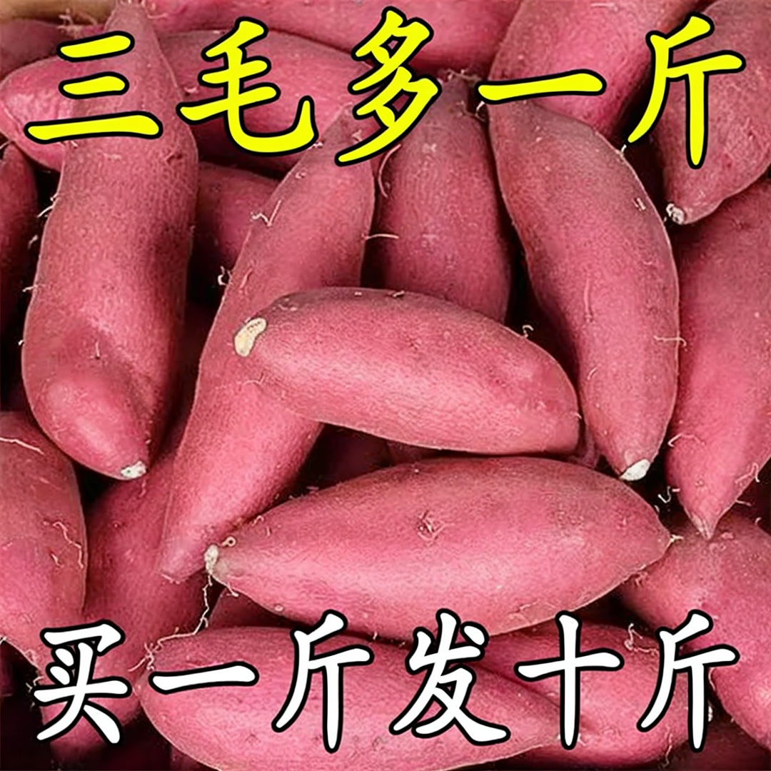 【抢购中】超甜沙地蜜薯红薯1//5/9斤新鲜红心黄心蜜薯地瓜番薯整箱