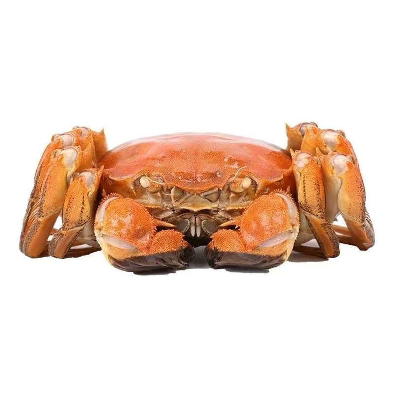 【活蟹】精品大闸蟹短腿公蟹3.7-4.0母蟹2.7-3.0两2-3斤约9只