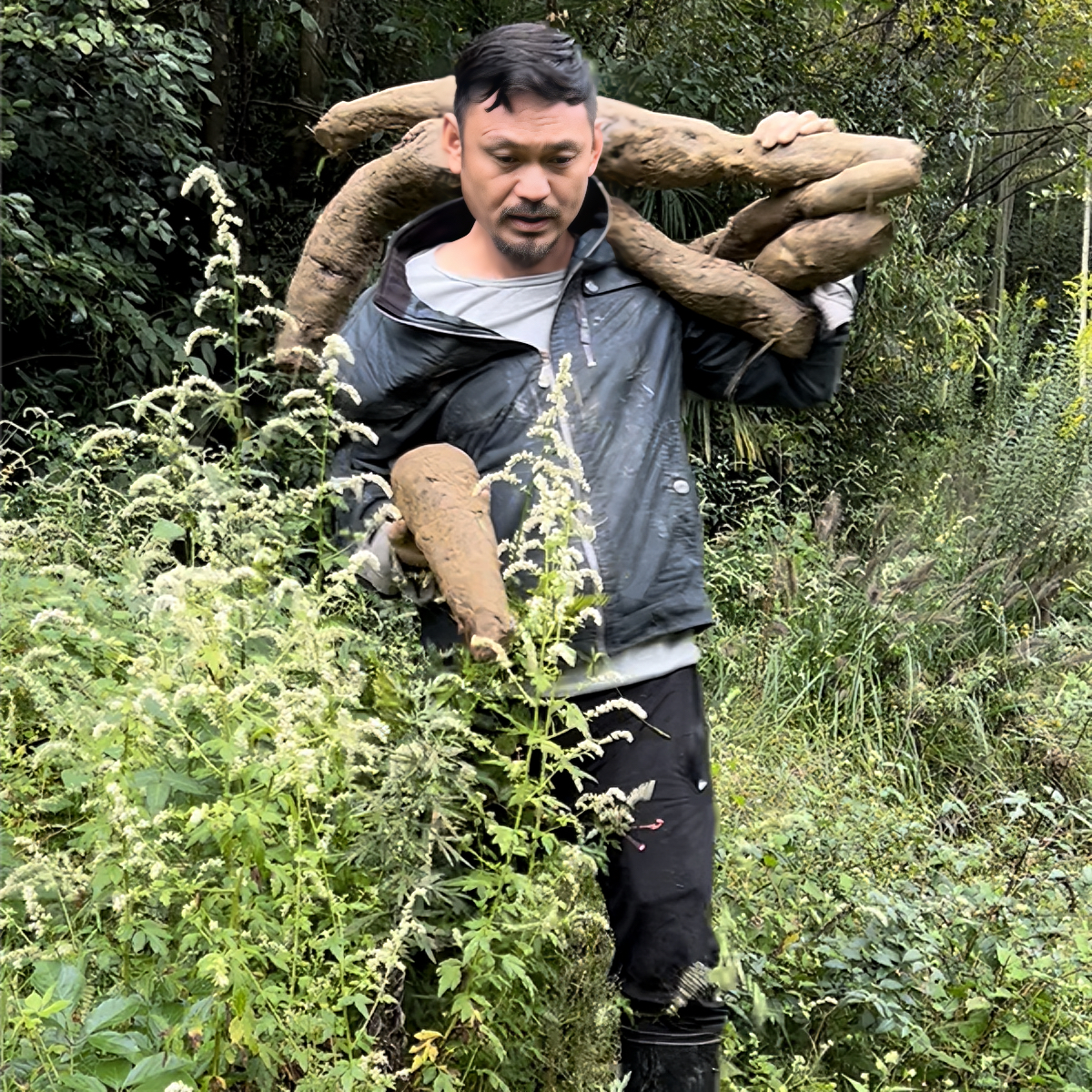 节日专享传统工艺农家手工制作野生葛根粉天然无添加营养代餐500g